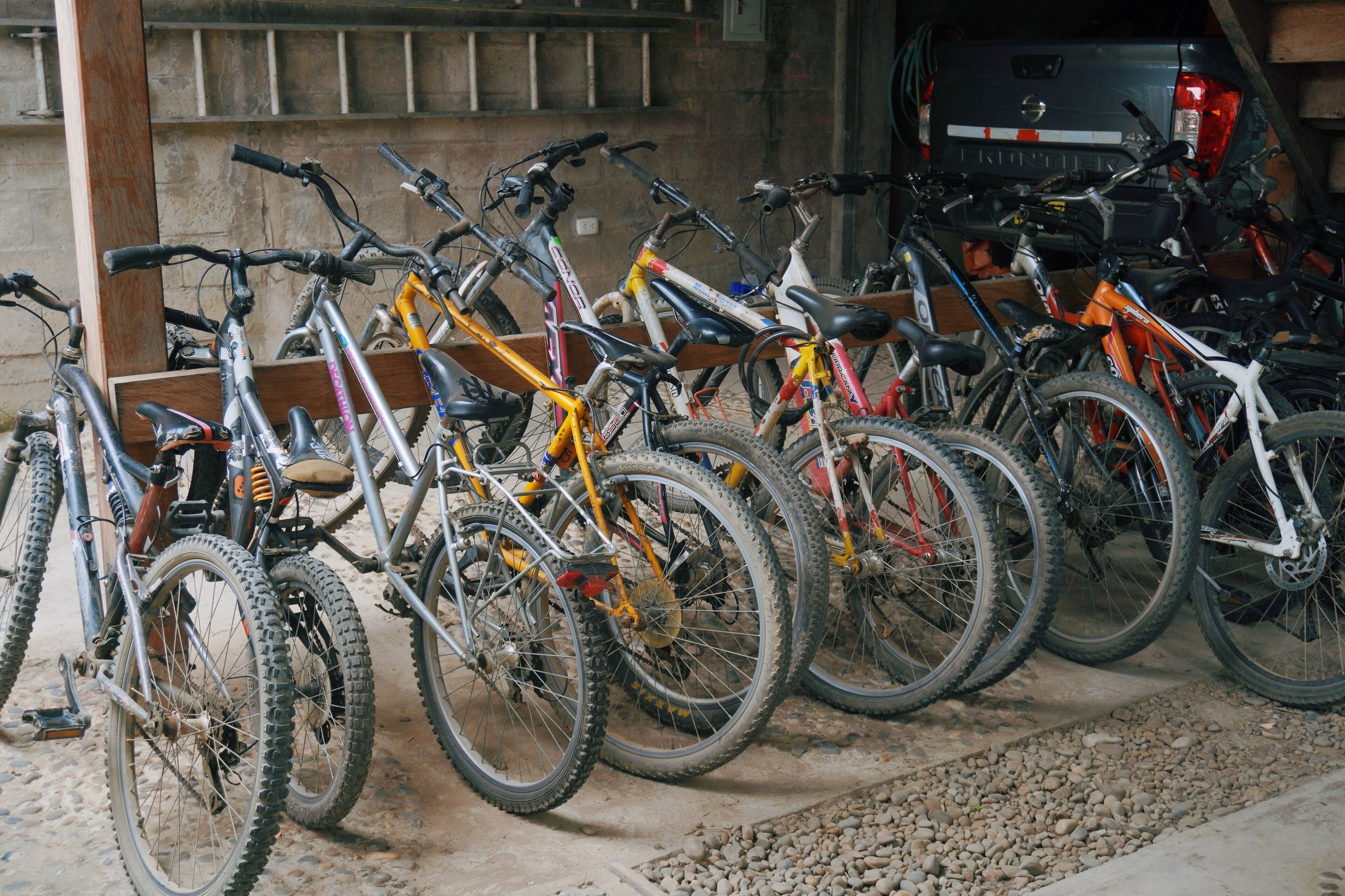 Photo - La Fauna Hotel