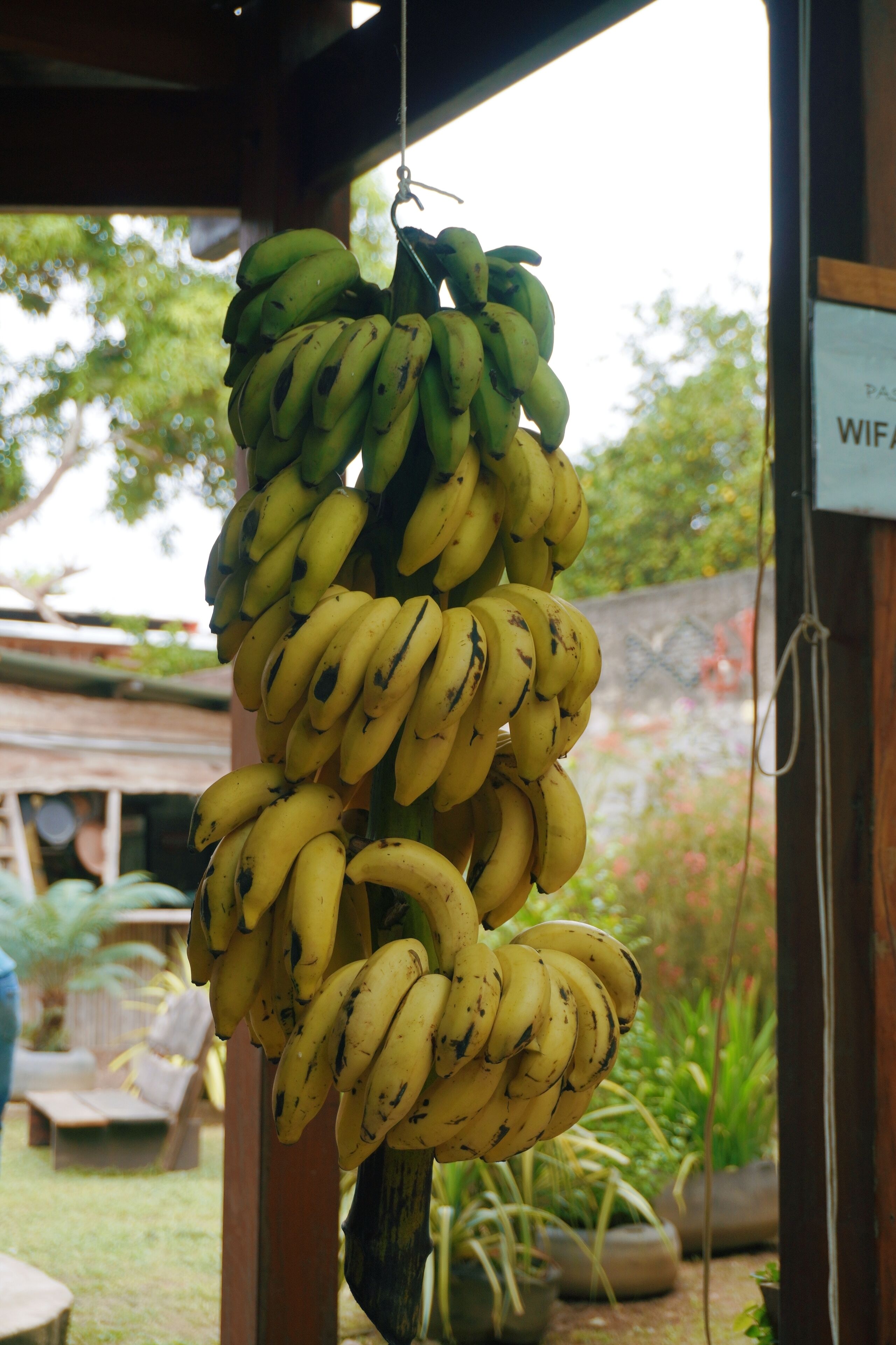 Photo - La Fauna Hotel