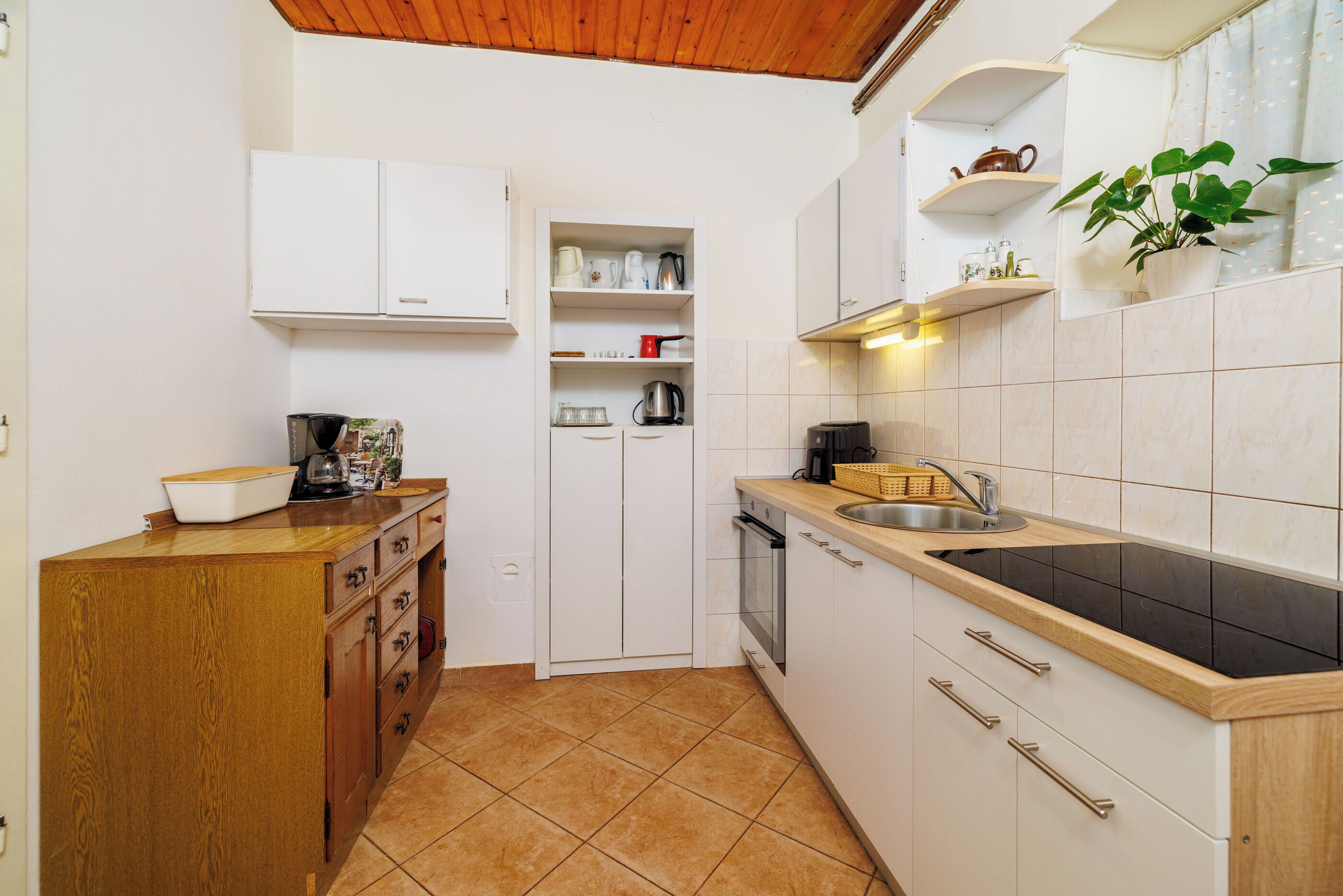 Apartment (A2) | Private kitchen | Fridge, microwave, stovetop, espresso maker