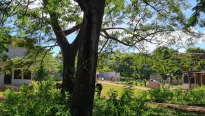 Ein Haus mit einem großen Baum im Vordergrund, ein weißes Gebäude im Hintergrund und ein unbefestigter Weg, der zu einer weiteren Struktur führt.
