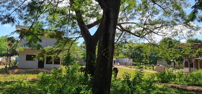 Apartamentos Montiel