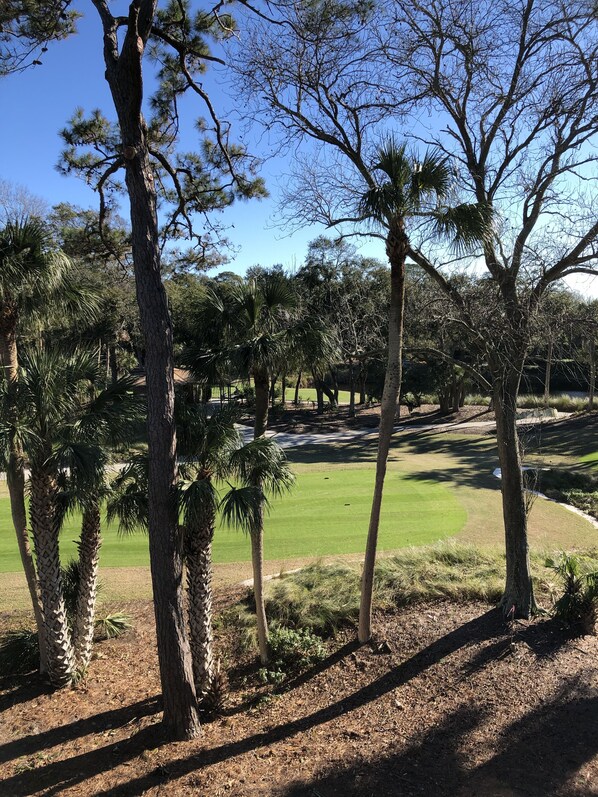 A golf course with a clear sky, surrounded by palm trees and other vegetation. - 5 Atlantic Pointe, Beautiful Ocean View Home on Hole #15 of Atlantic Dunes GC (Hilton Head Island)