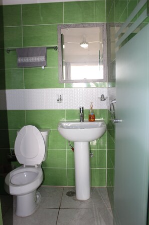 Departamento | Baño | Regadera, secadora de cabello, toallas 