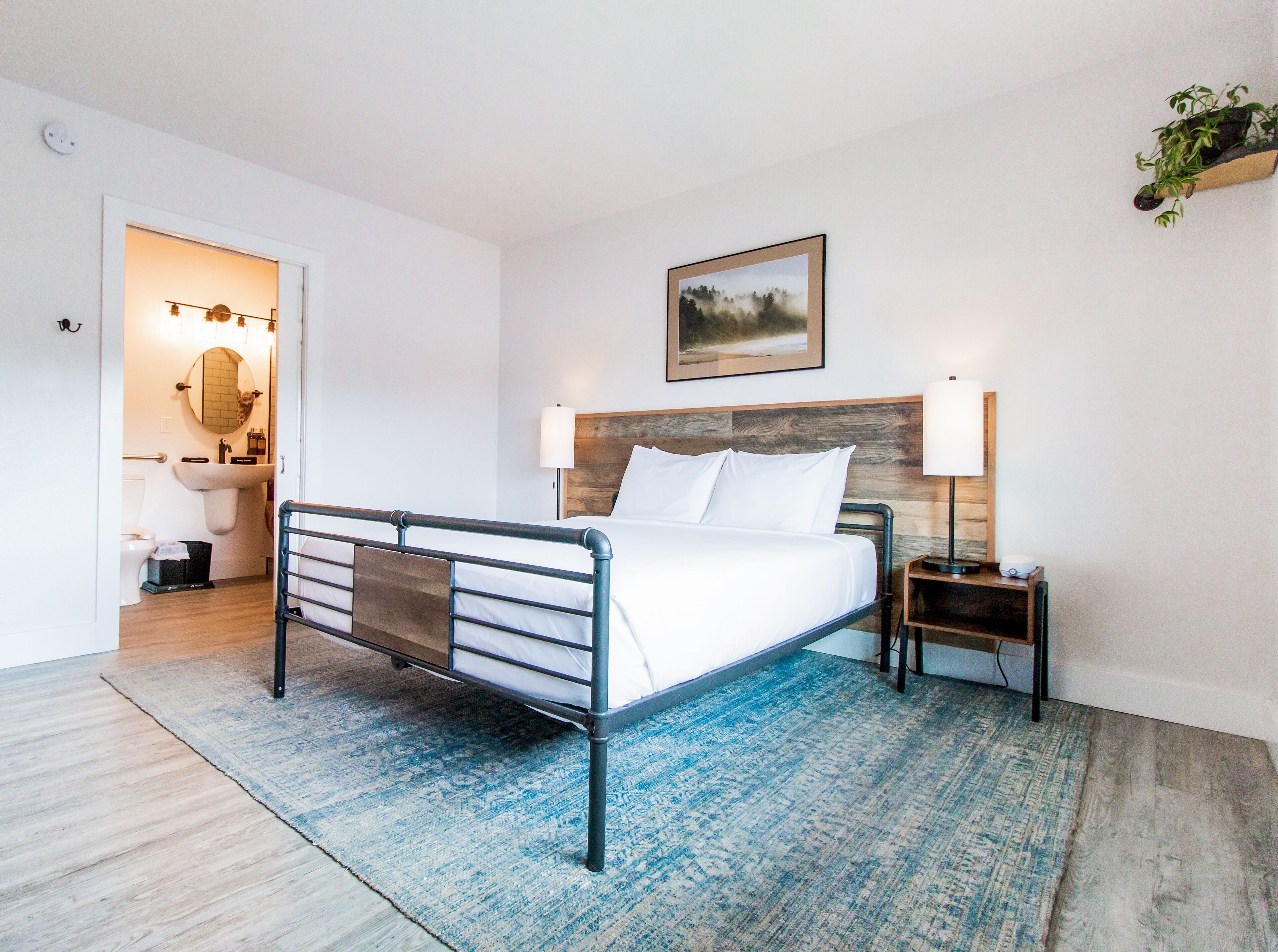 A neatly arranged hotel room with a bed, bedside tables, a nightstand, a wall-mounted lamp, a framed picture, and a small potted plant.