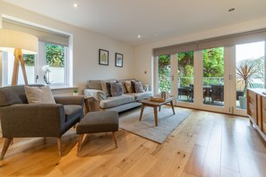 Fernseher, Netflix, DVD-Player, Bücher