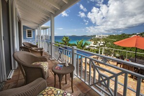 Property grounds - CalypsoBlu - Beautiful views of Morningstar Beach and the cruise ships entering and leaving port!! (St. Thomas)