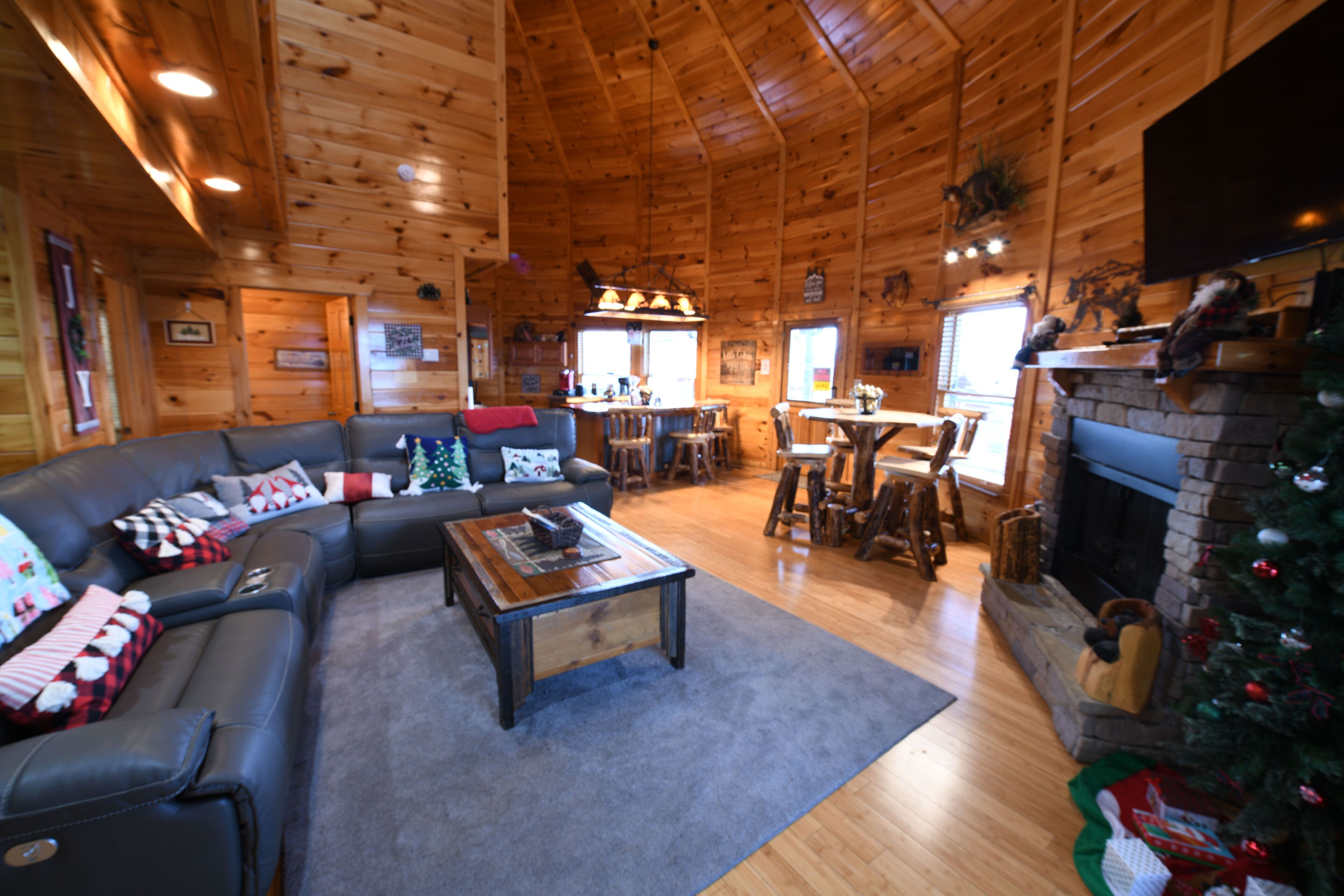 Televisie, een open haard, videospelletjes en een dvd-speler