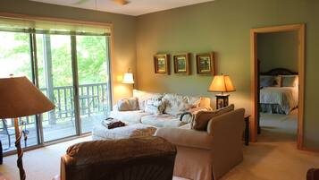 TV, fireplace, DVD player, books