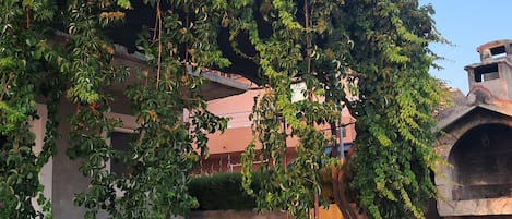Terassi/patio