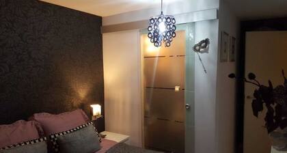 Spectacular luxury apartment in Madrid