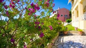 A stone-paved pathway leading to a building with a pink facade, surrounded by green foliage and purple flowers. - SeaSunrise: Modern, spacious Apt, A/C, WiFi, Near beach (Perama)