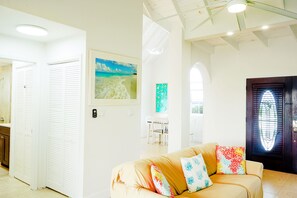 Smart TV, fireplace, books, stereo