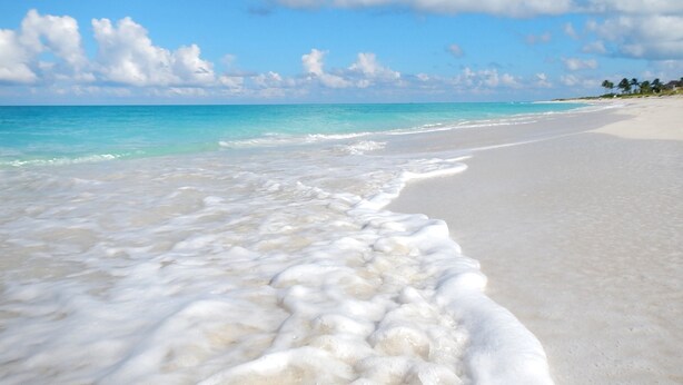 Ein Strand mit weißem Sand und türkisblauem Wasser.