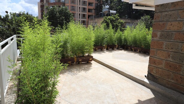 A rooftop garden with potted plants, a tiled floor, and a white railing. - City of the Sun Newly renovated loving house (Nairobi)