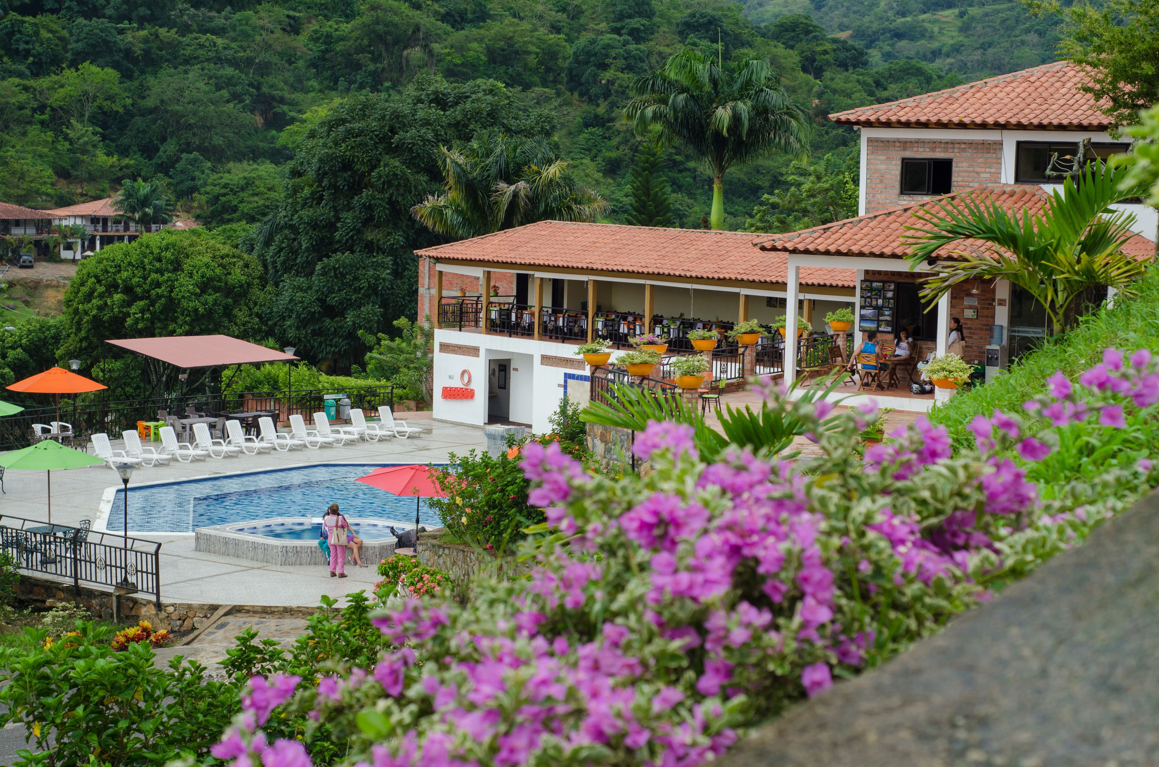 A hotel with a swimming pool, outdoor seating, and lush greenery.