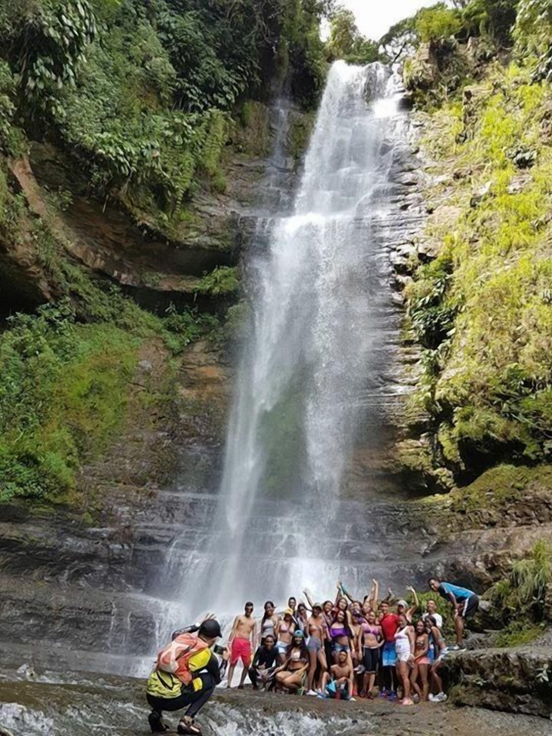 Una cascada rodeada de abundante vegetación.