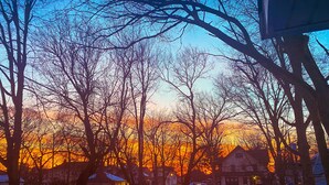 A residential area with houses, a wooden fence, and bare trees during sunset.