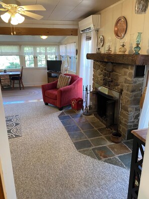 TV, fireplace, DVD player, books