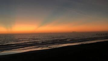 Plage, chaises longues, serviettes de plage