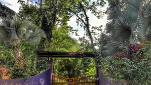 Ein Garteneingang mit einem Holztor, einer mit Kletterpflanzen bewachsenen Pergola und einer violetten Mauer mit dem Schriftzug 'Geckoes'.
