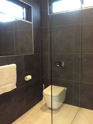 Hair dryer, towels, soap, toilet paper