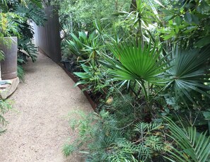 Stroll through the garden's lush greenery, surrounded by a variety of plants and trees.