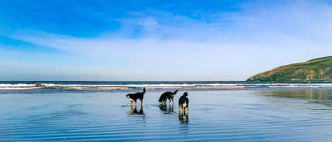 Playa