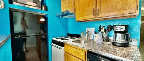 Frigorífic, microones, placa de cuina i cafetera i tetera