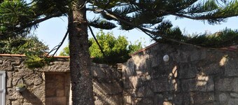 CACHEIRAS AUREA HOUSE
