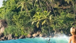 Uma praia com ondas, rochas e palmeiras.