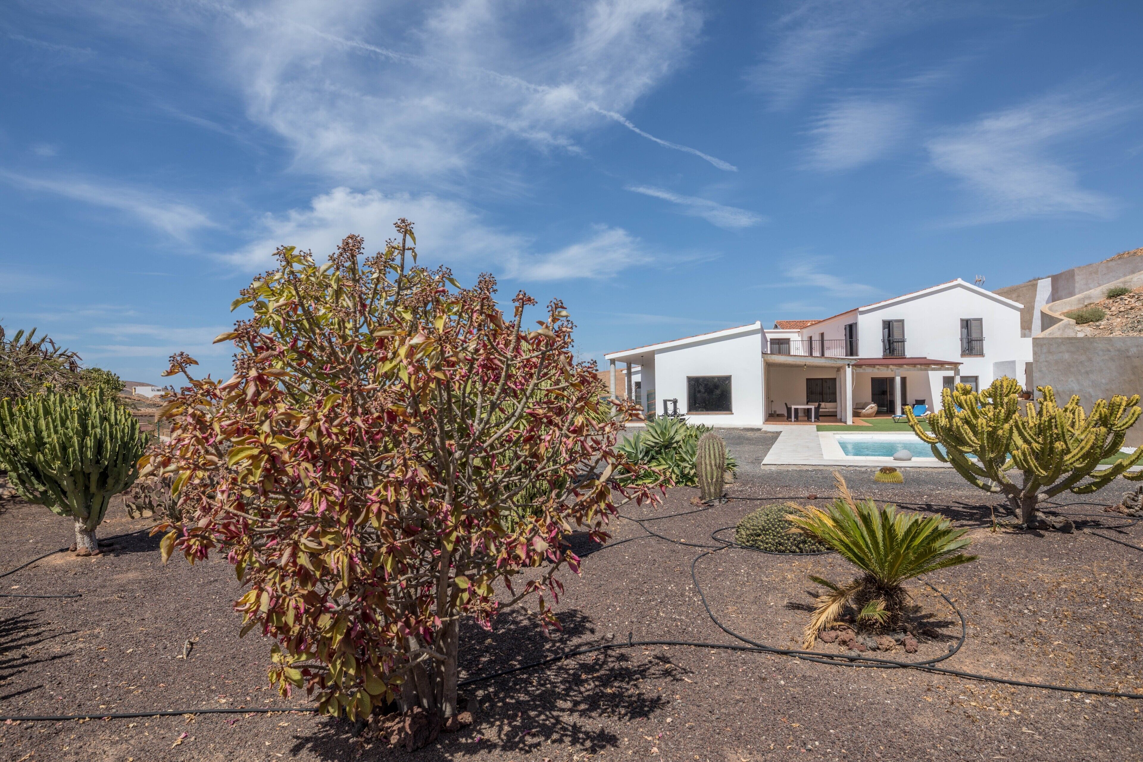 Área da propriedade