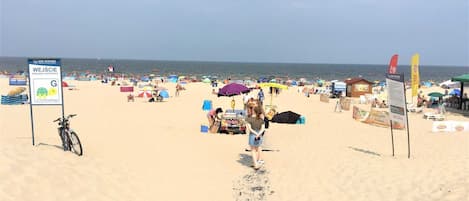 بالقرب من الشاطئ