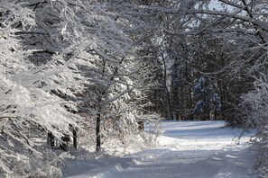 Imagen sin descripción, 5 de 59, botón