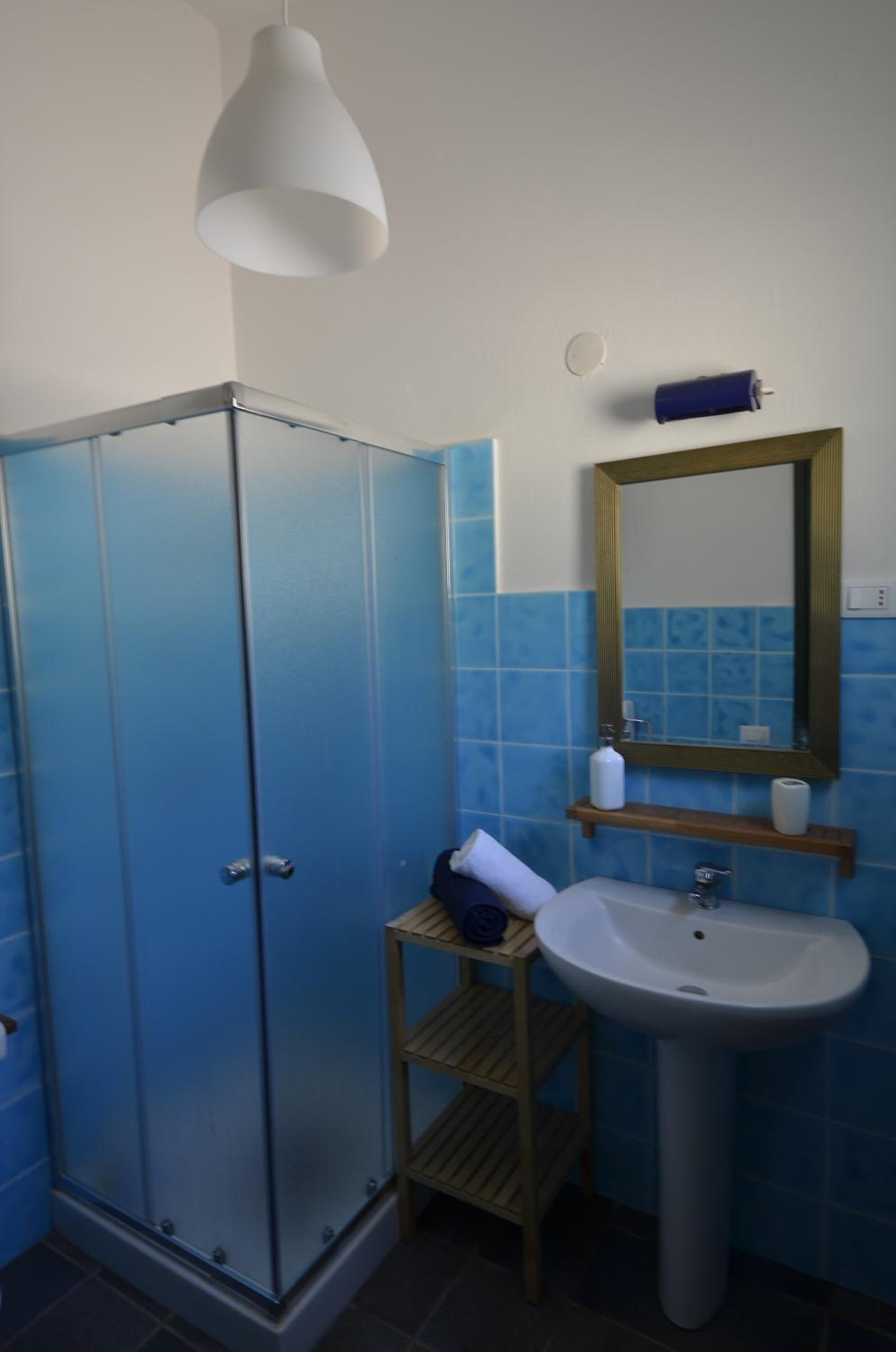 Shower, bidet, soap, toilet paper