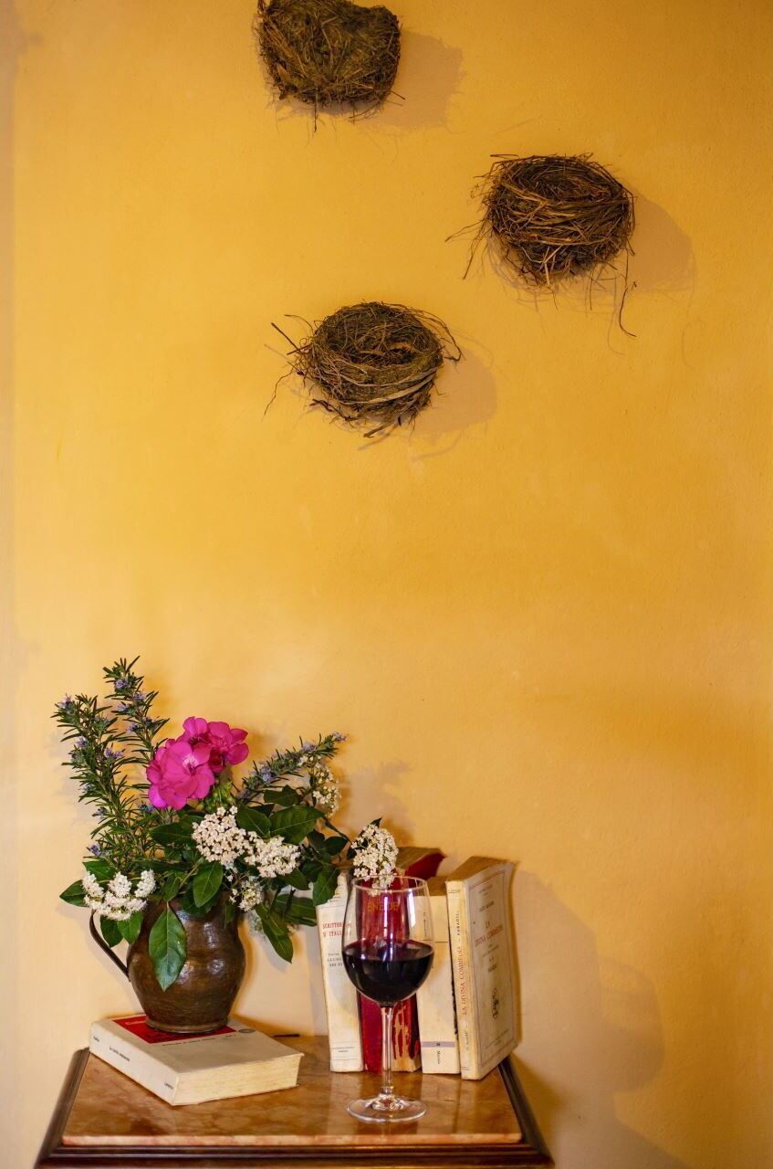 Giallo, Materiali Naturali, Natura Morta, Still Life Fotografia, Disegno Floreale