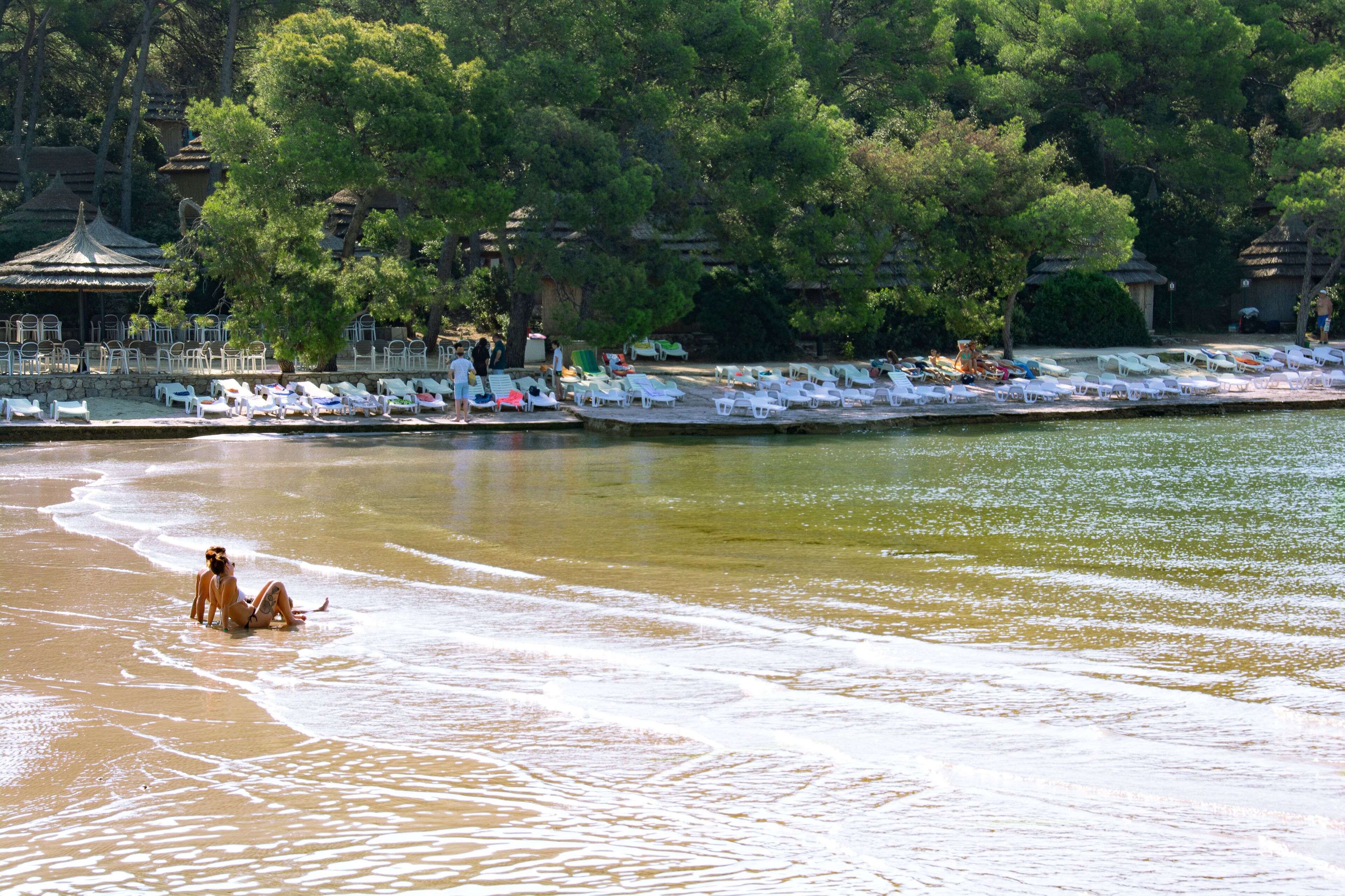 A beach with lounge chairs and umbrellas, a tree-lined area, and a thatched-roof structure.