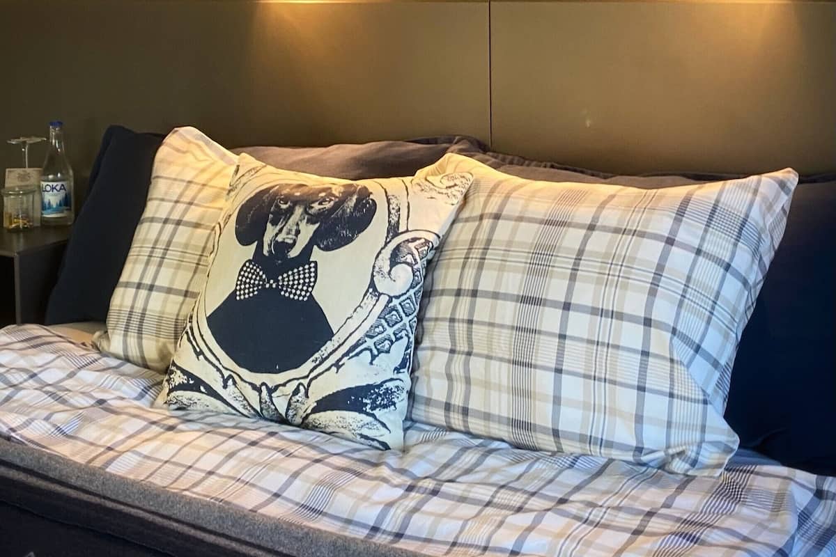 Single Room | Desk, free WiFi, bed sheets