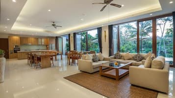 TV, fireplace, music library