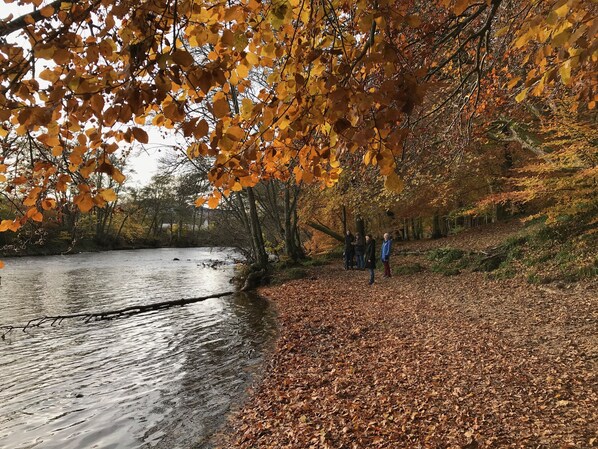 Un parque tranquilo con un lago, rodeado de árboles con hojas otoñales.