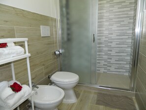 Shower, hair dryer, bidet, towels