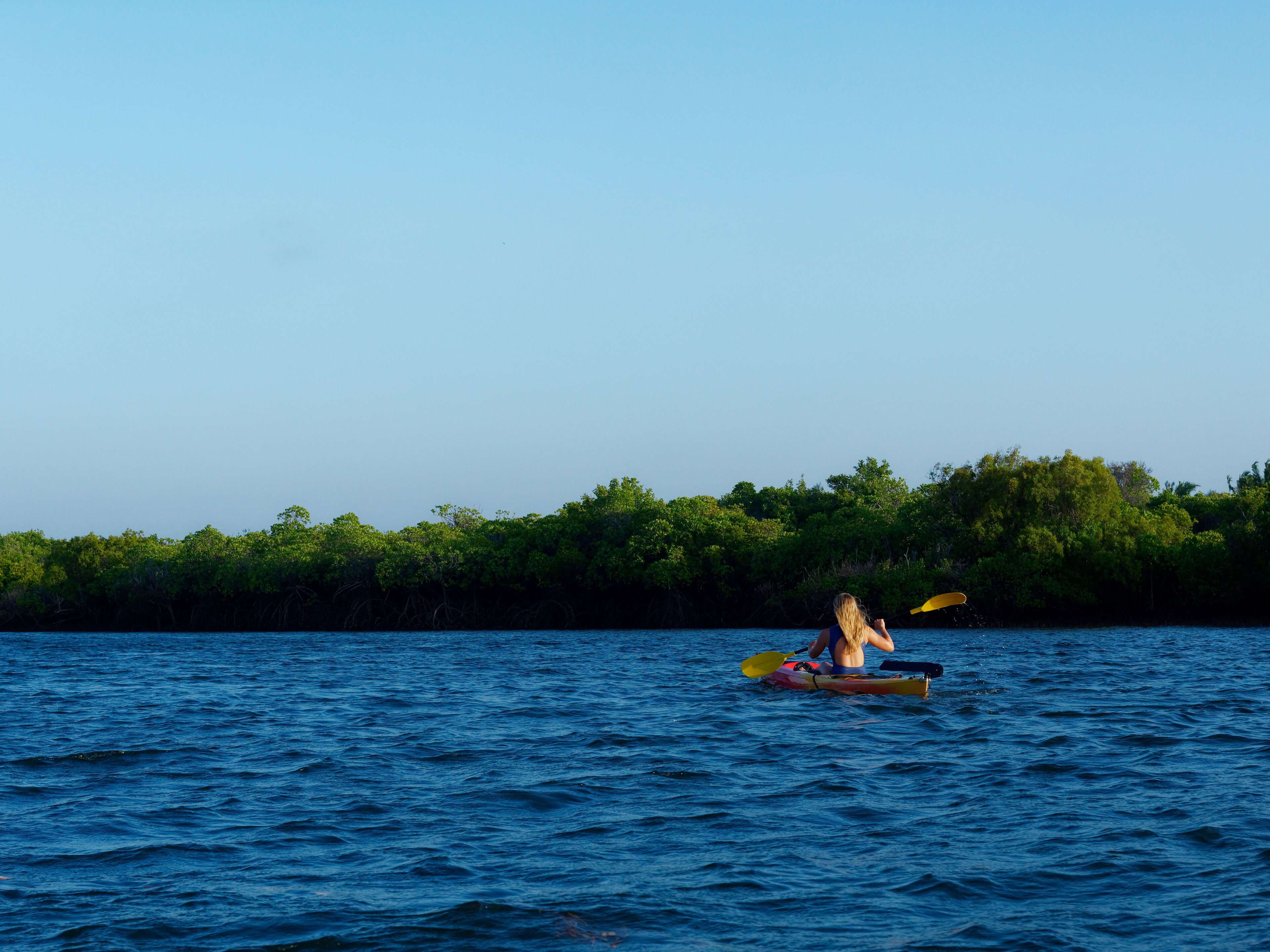 Uma pessoa a remar num caiaque em águas calmas, com vegetação densa ao fundo.