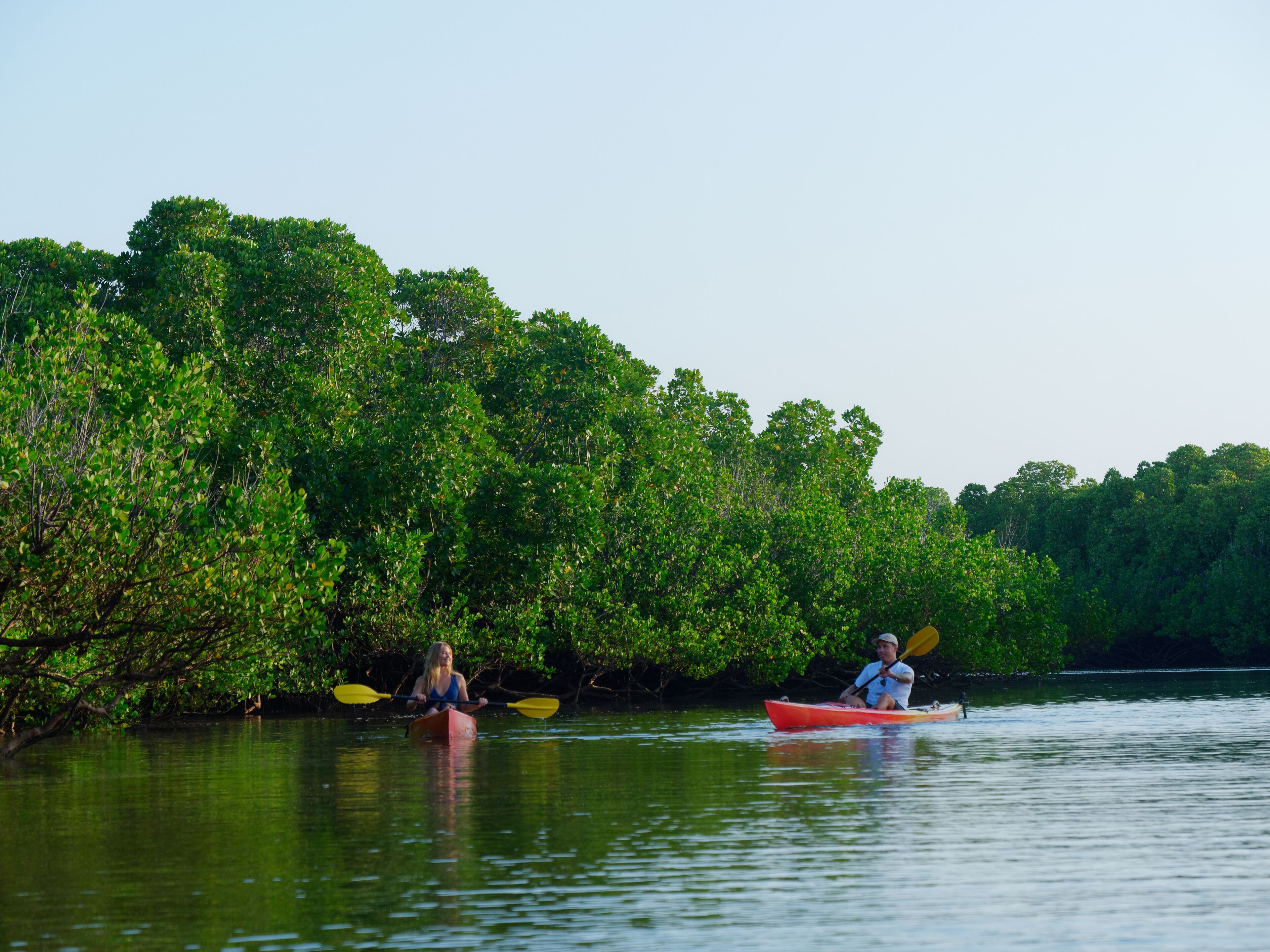 A calm river with kayaks and dense green foliage on the banks.