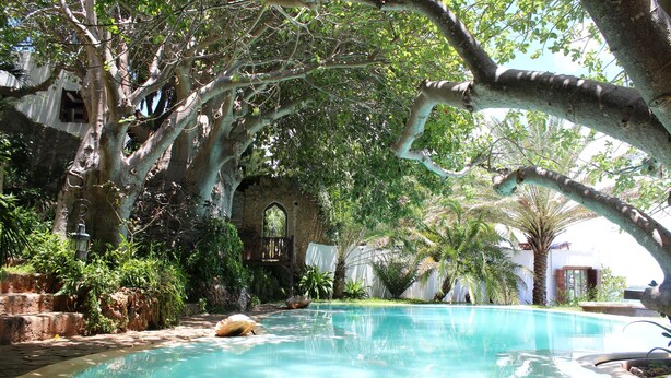 A pool area with a clear blue pool, surrounded by lush greenery and trees. - Peponi Hotel (Lamu)