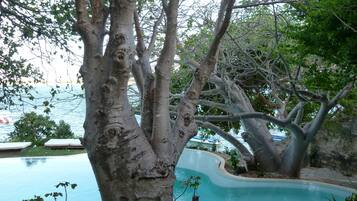 A pool surrounded by trees with a view of the water.
