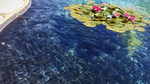 A clear pool with water lilies and a wooden deck. - Agriturismo Il Poderino (Bibbona)