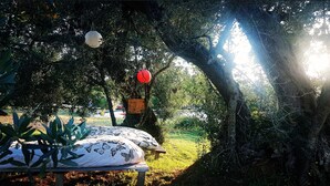 A garden with a bench, a tree, and hanging lanterns. - Agriturismo Il Poderino (Bibbona)