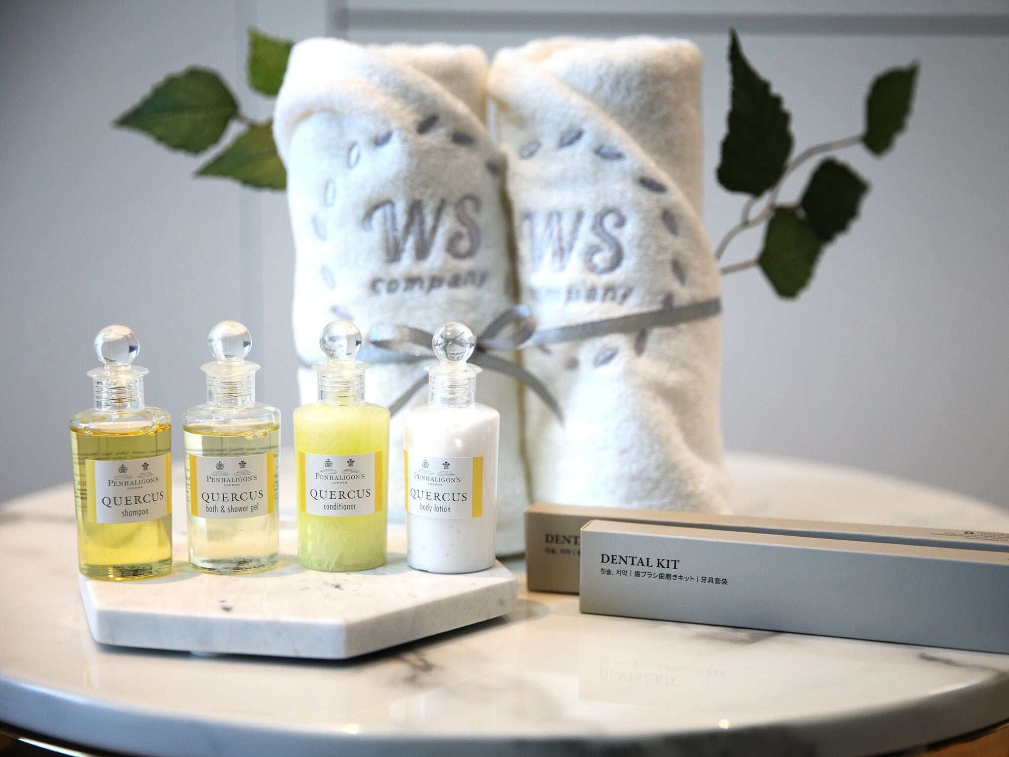 shower, free toiletries, hair dryer, bidet