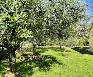 Terrain de l’hébergement 