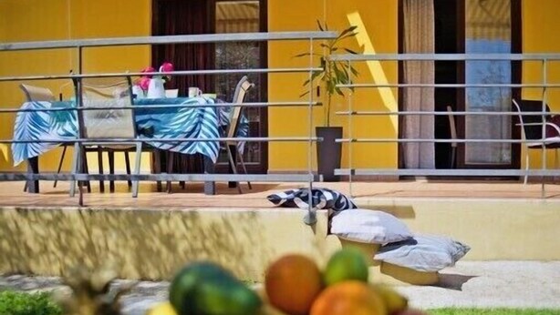 Un comedor con mesas y sillas, una barandilla y una planta en maceta.