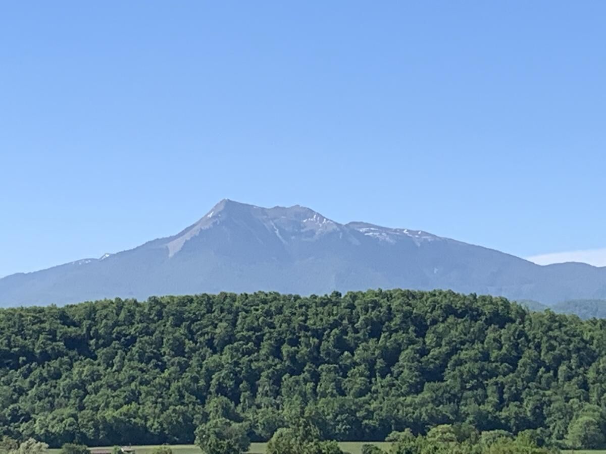 Una montagna con una vegetazione folta in primo piano e un cielo sereno.